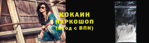 шишки Балахна