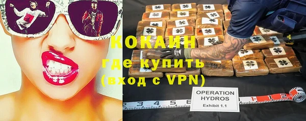 шишки Балахна