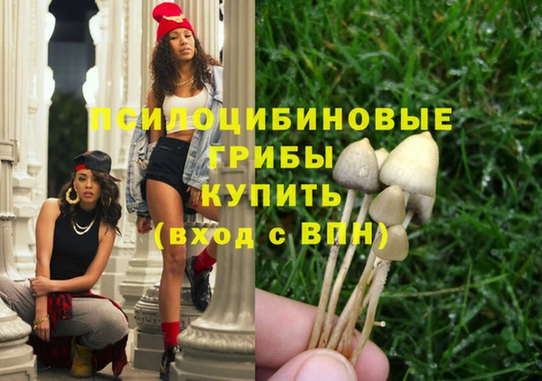 шишки Балахна