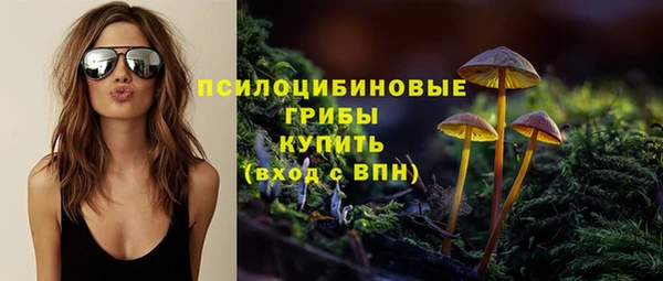 шишки Балахна